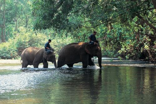 Chiang Mai stopover